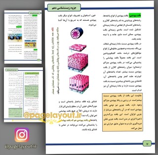 صفحه آرایی زیست