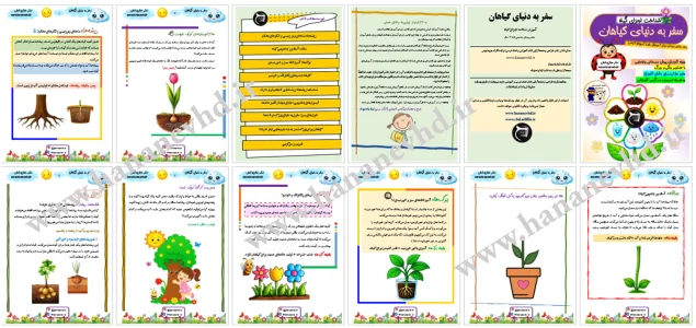سفر به دنیای شگفت‌انگیز گیاهان