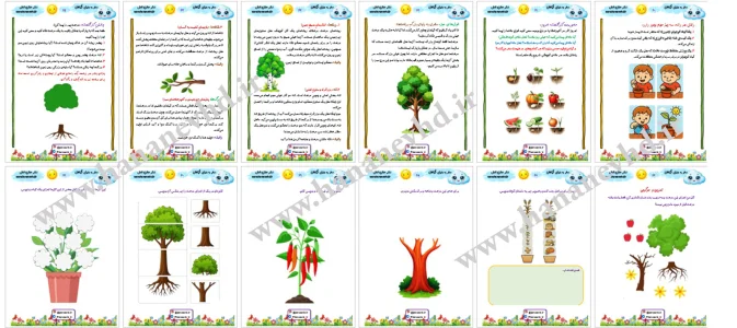 سفر به دنیای شگفت‌انگیز گیاهان