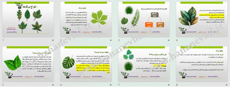 سفر به دنیای شگفت‌انگیز گیاهان